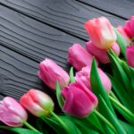 Bunga tulip